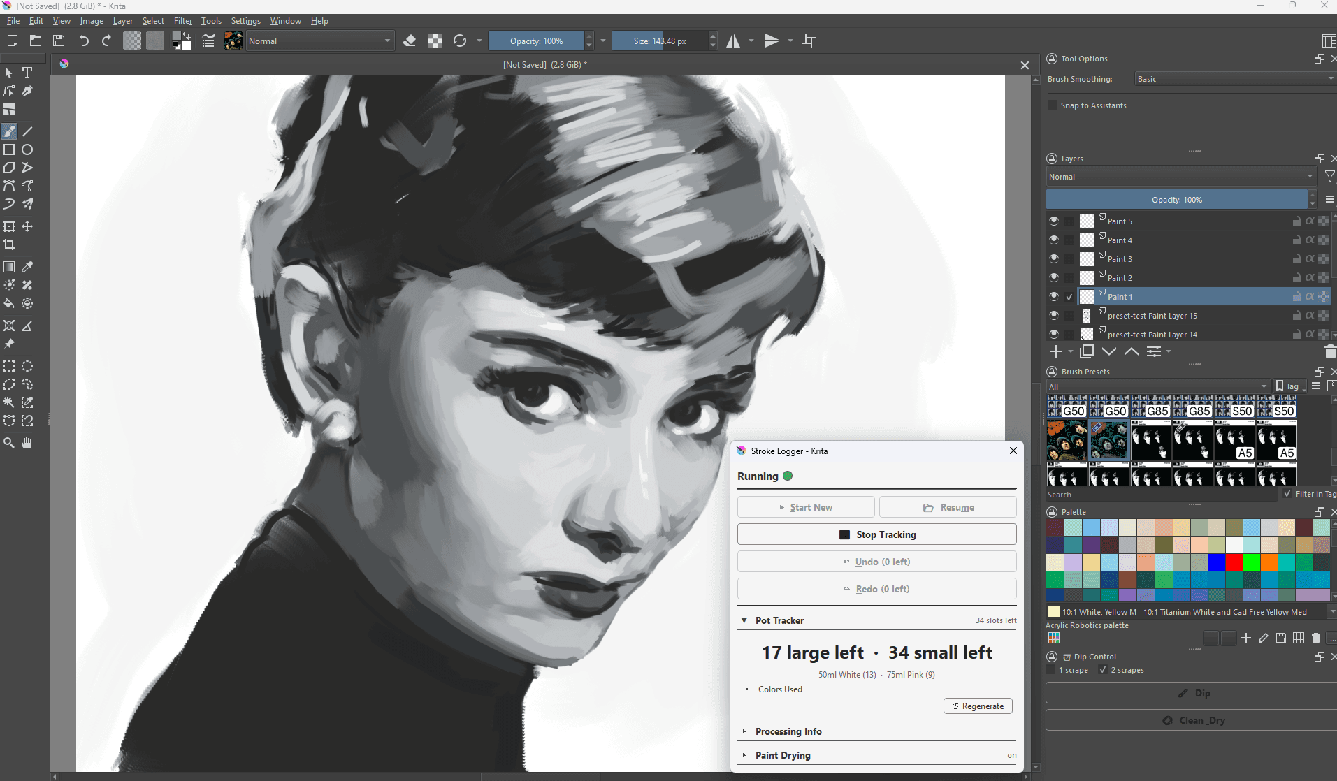 Digital Painting to Robot Pipeline